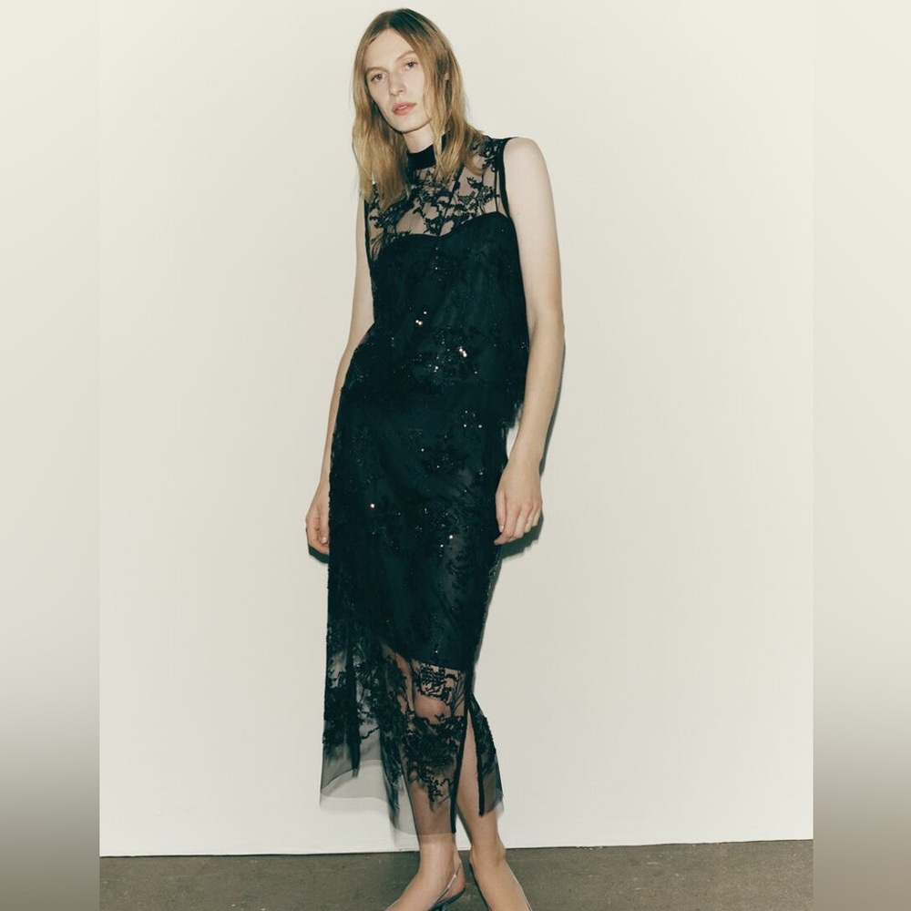 Zara Embroidered Tulle Top and Skirt Set - size M